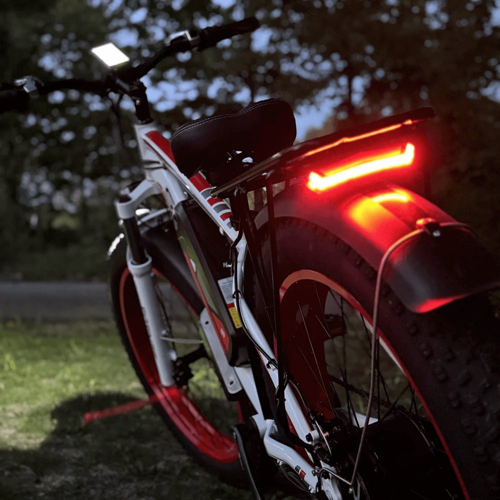 USA Wholesale 26x 4inch FatTire 21-speed 1000W 20Ah Road E-bike Electric Mountain Bike