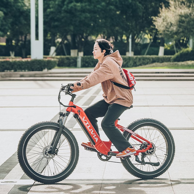 USA Warehouse Cheap 250W 750w 48v Lithium Battery Fat Tire Wheel High Speed Powerful Electric Motor Bike Bicycle For Wholesales