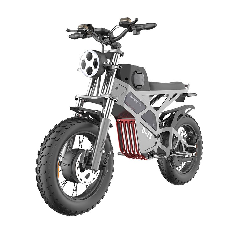 20 Inch Electric Bicycle Fat Tire Electric Bicycle Ebike Electric Mountain Bike Scooters 1000w 2000W 750W