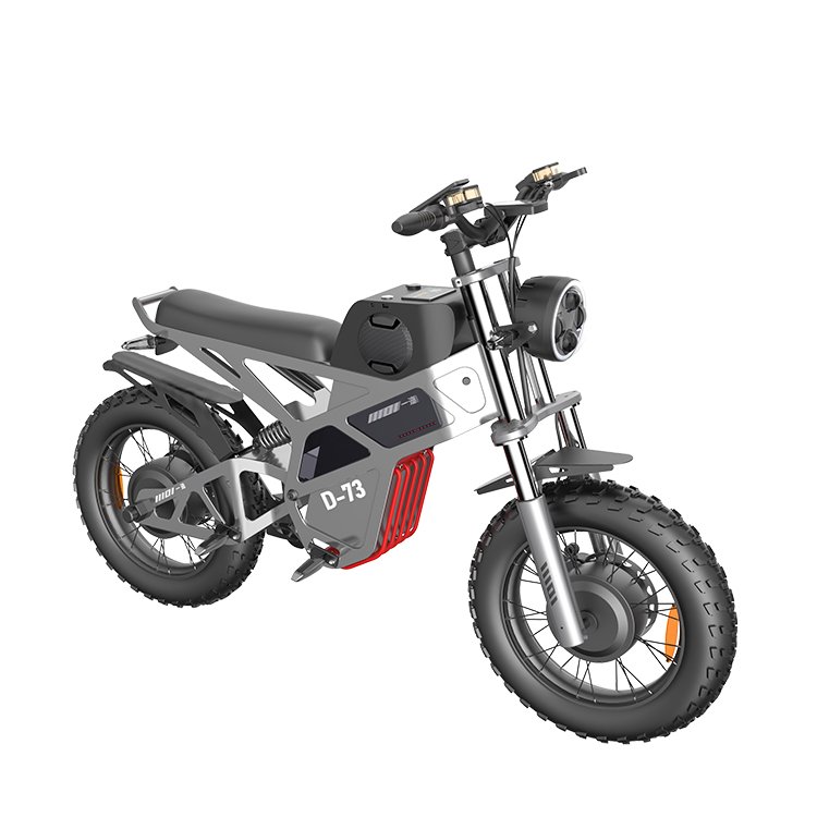 20 Inch Electric Bicycle Fat Tire Electric Bicycle Ebike Electric Mountain Bike Scooters 1000w 2000W 750W