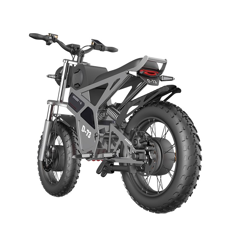 20 Inch Electric Bicycle Fat Tire Electric Bicycle Ebike Electric Mountain Bike Scooters 1000w 2000W 750W