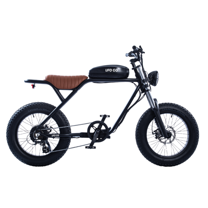 Hot selling 2-seater electric bicycle with 750W 48V motor and detachable battery