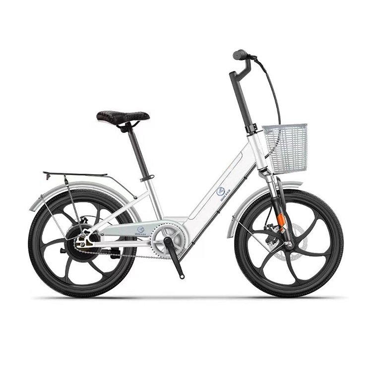 Professional Leisure 20inch Bicycle Adult Electric City Bike