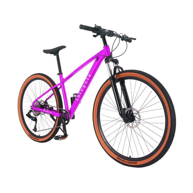 High modulus carbon fiber mtb 29"27.5''26'' adult 12 speed hydraulic disc brake inner cable mountain bike bicycle on sale