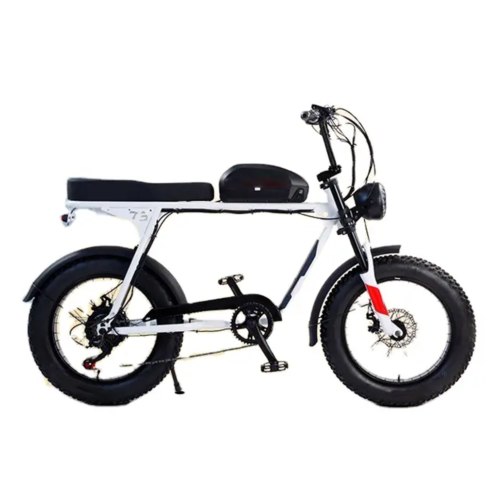 2024 new retro big power super Electric Hybrid Bike 73 fat tire 20 inch 750W/1000W ebike 48V 20AH long range e bike