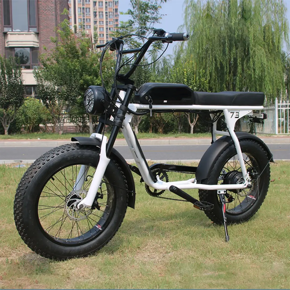 2024 new retro big power super Electric Hybrid Bike 73 fat tire 20 inch 750W/1000W ebike 48V 20AH long range e bike
