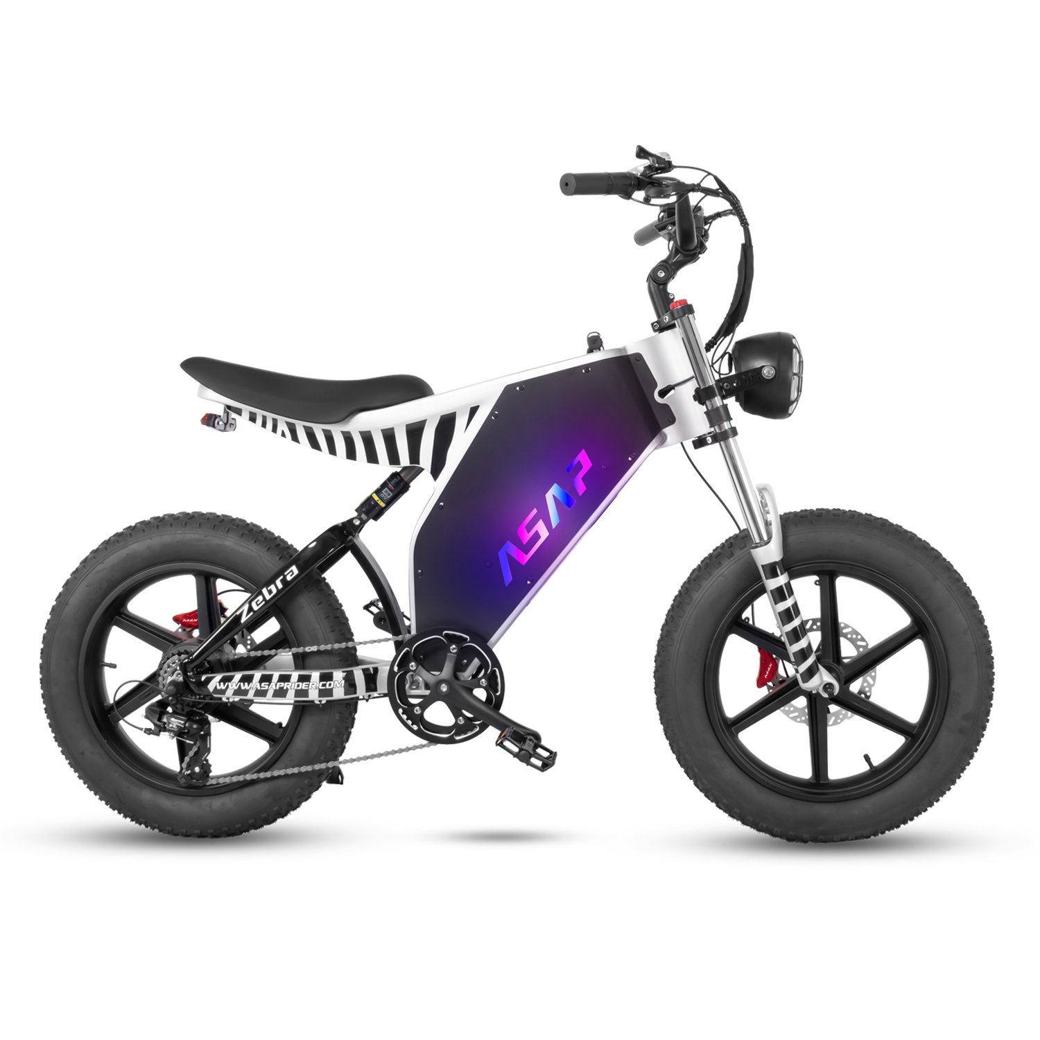 1000W Motor 7 Speed 48V 19AH Removable Battery 20 Inch Tire Adults Aluminum Electric Mountain Bike