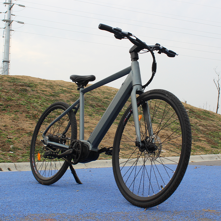 Customization Ebike Snow Electric Mountain Bike Powerful Hunting Mid Drive E Bike 26 Inch Bicycle Belt Drive Ebike