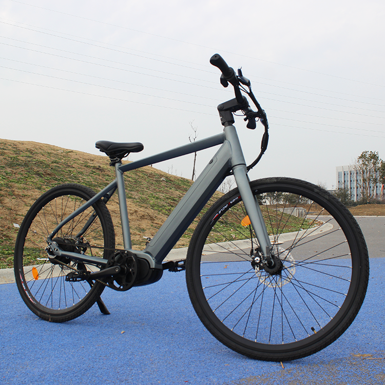 Customization Ebike Snow Electric Mountain Bike Powerful Hunting Mid Drive E Bike 26 Inch Bicycle Belt Drive Ebike
