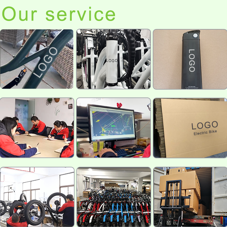 Customization Ebike Snow Electric Mountain Bike Powerful Hunting Mid Drive E Bike 26 Inch Bicycle Belt Drive Ebike