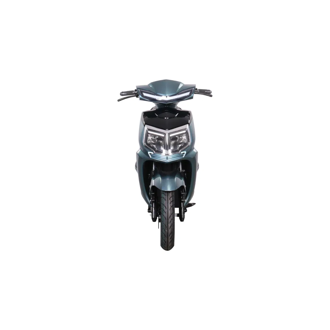 Streebikes 1000W 48v Ckd Powerful 2-Wheel Electric Motorcycle for Adults Electric Mobility Scooter Men Adult E-Bike Motocross
