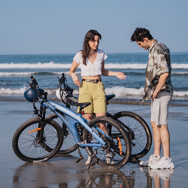 Long Range Plegable Electric Bike Mountain Riding 48V 250W Motor Power Lithium Battery Delivery Cross Bike Step Mountain Riding