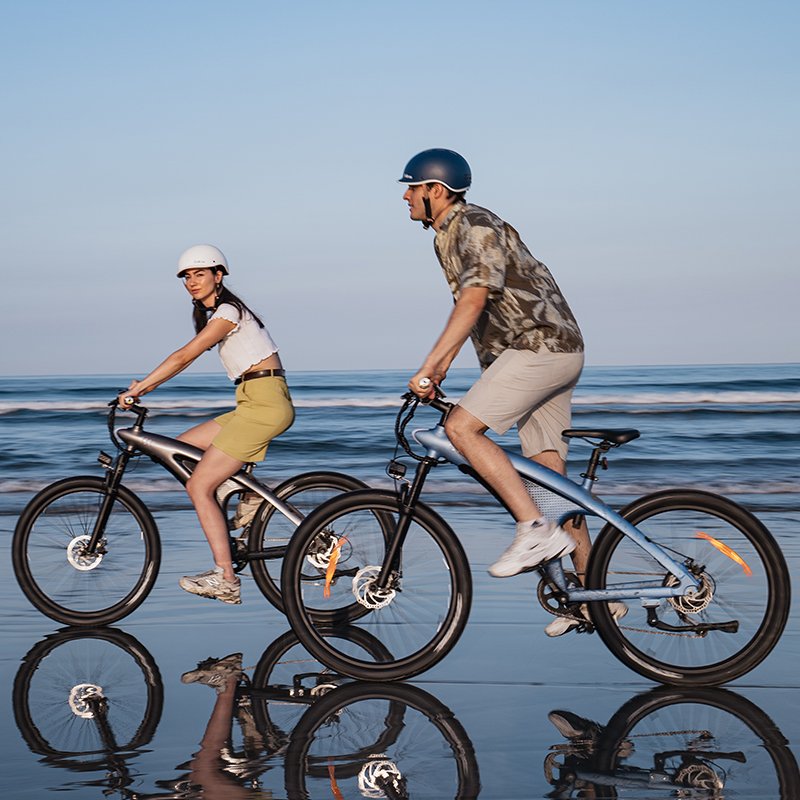 Long Range Plegable Electric Bike Mountain Riding 48V 250W Motor Power Lithium Battery Delivery Cross Bike Step Mountain Riding