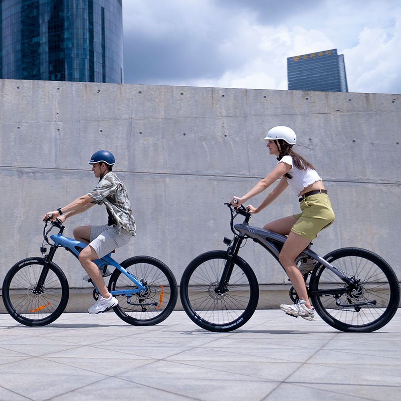 Long Range Plegable Electric Bike Mountain Riding 48V 250W Motor Power Lithium Battery Delivery Cross Bike Step Mountain Riding
