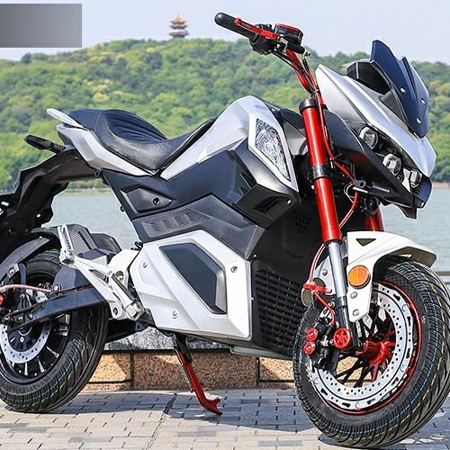Powerful Electric Motorcycles Sportbike Lithium Battery High-Speed Ev-bike 80km/h 60V/72V 2000/3000W 2-Wheel E-Motorbike Scooter