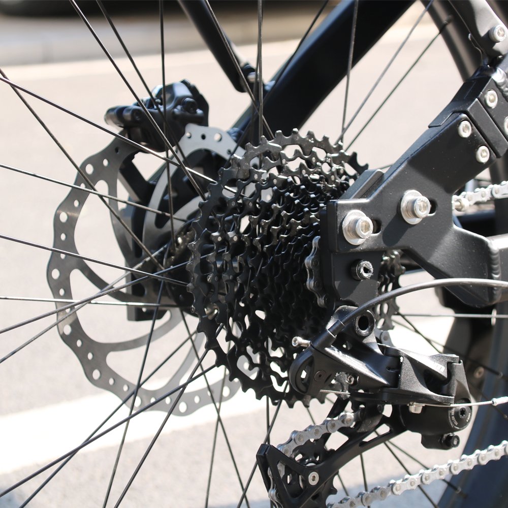 AM1000 48V Mid Motor Fat Tire Electric Bike Mountain E bike Bicycle Adult Electric Fat Tire Bike 1000w 1500w