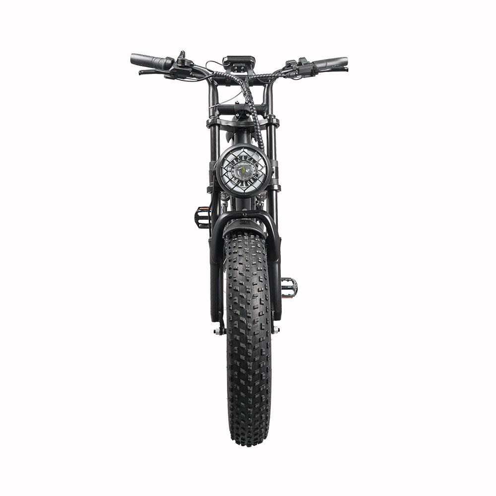 Aluminum Frame 20*4 Inch Electric Mountain Bike for Adults Shimano 7 Speed E-Bike 750W 1500W Motors 48V Lithium Battery Fat Tire