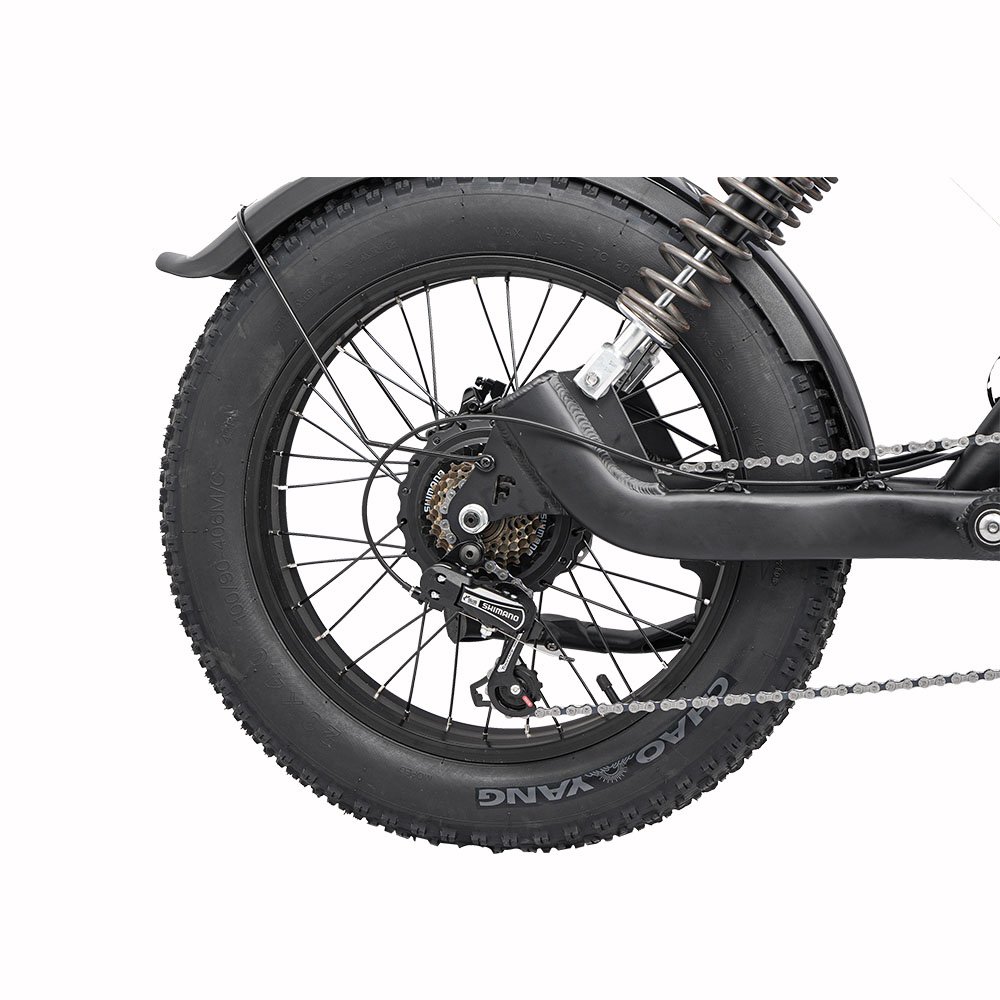 Aluminum Frame 20*4 Inch Electric Mountain Bike for Adults Shimano 7 Speed E-Bike 750W 1500W Motors 48V Lithium Battery Fat Tire