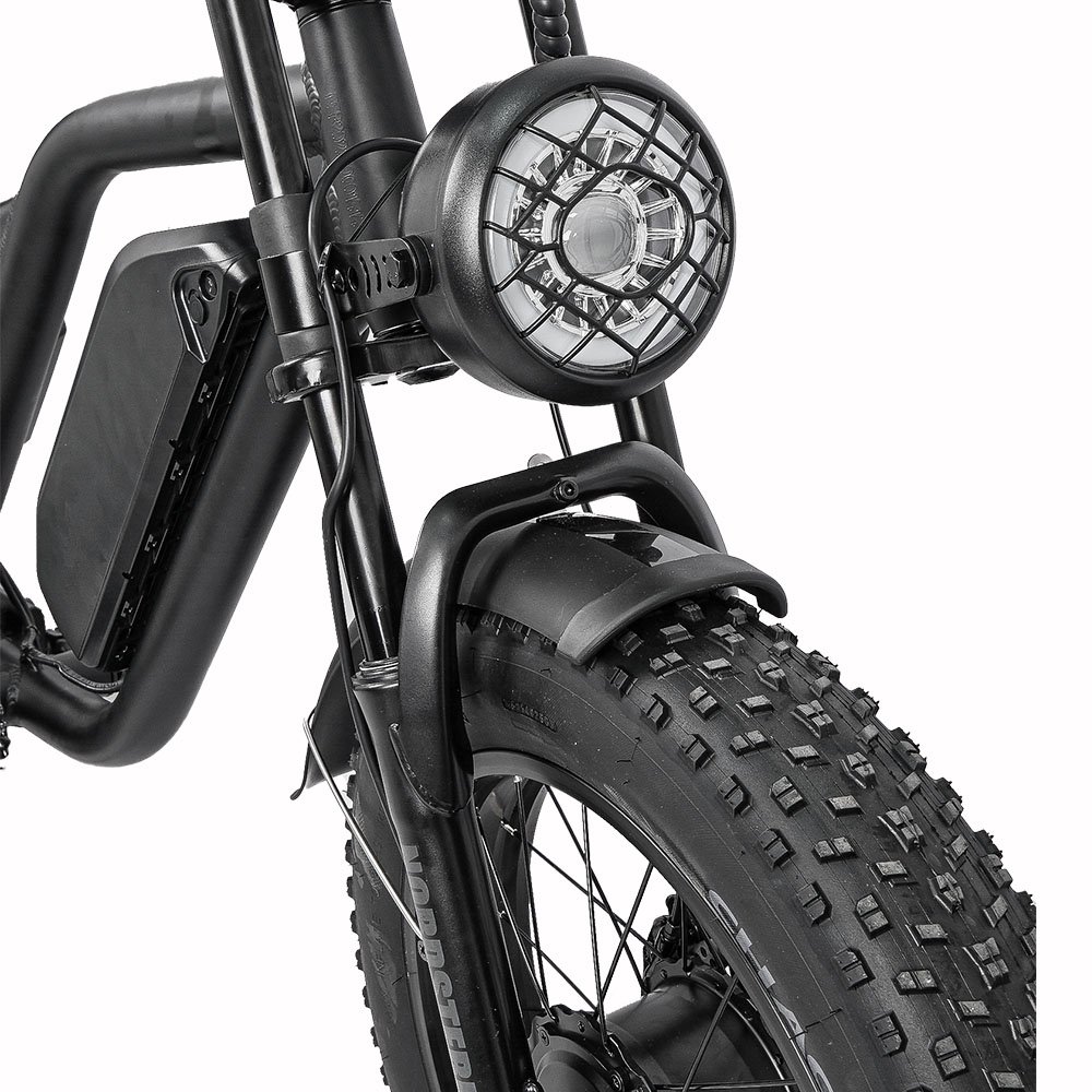 Aluminum Frame 20*4 Inch Electric Mountain Bike for Adults Shimano 7 Speed E-Bike 750W 1500W Motors 48V Lithium Battery Fat Tire