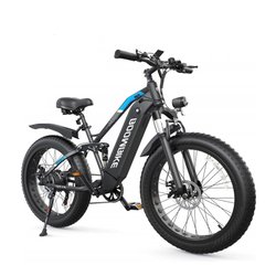 Bafang option