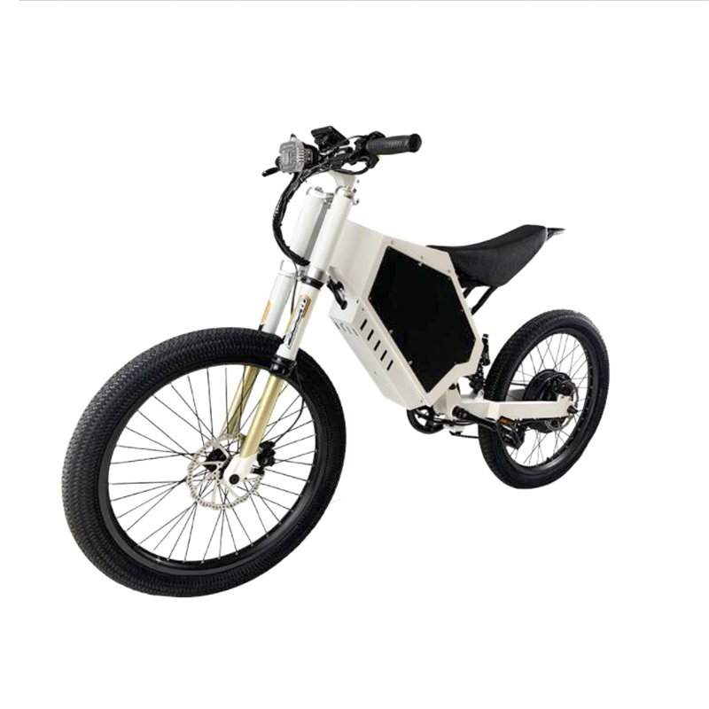 2024 Adult Professional Bomber Electric Dirt Bike Bicycle Mountain Electric Bike Stealth Ebike 2025 Light Bee X