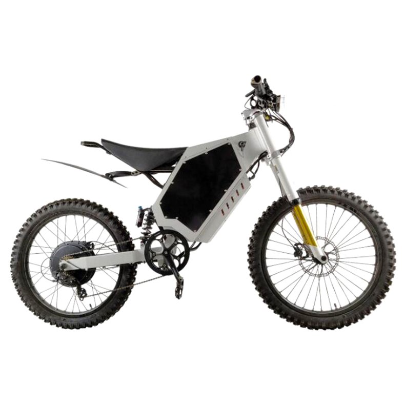 2024 Adult Professional Bomber Electric Dirt Bike Bicycle Mountain Electric Bike Stealth Ebike 2025 Light Bee X