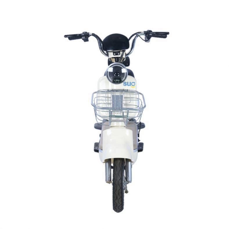 full suspension 350W 350W Power Retro Vintage E Bike cargo Ebike beach Durable Two Bicycle Electric Bike