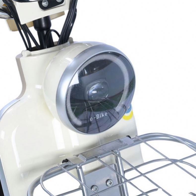 full suspension 350W 350W Power Retro Vintage E Bike cargo Ebike beach Durable Two Bicycle Electric Bike