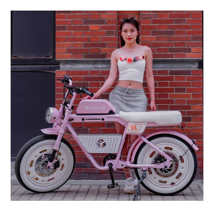 Fashion USA 1000W Electric City Bicycle Girl Motor Pit Dirt Road E Bike Fast Fat Tire Hybrid Motorcycle Electrical System Woman