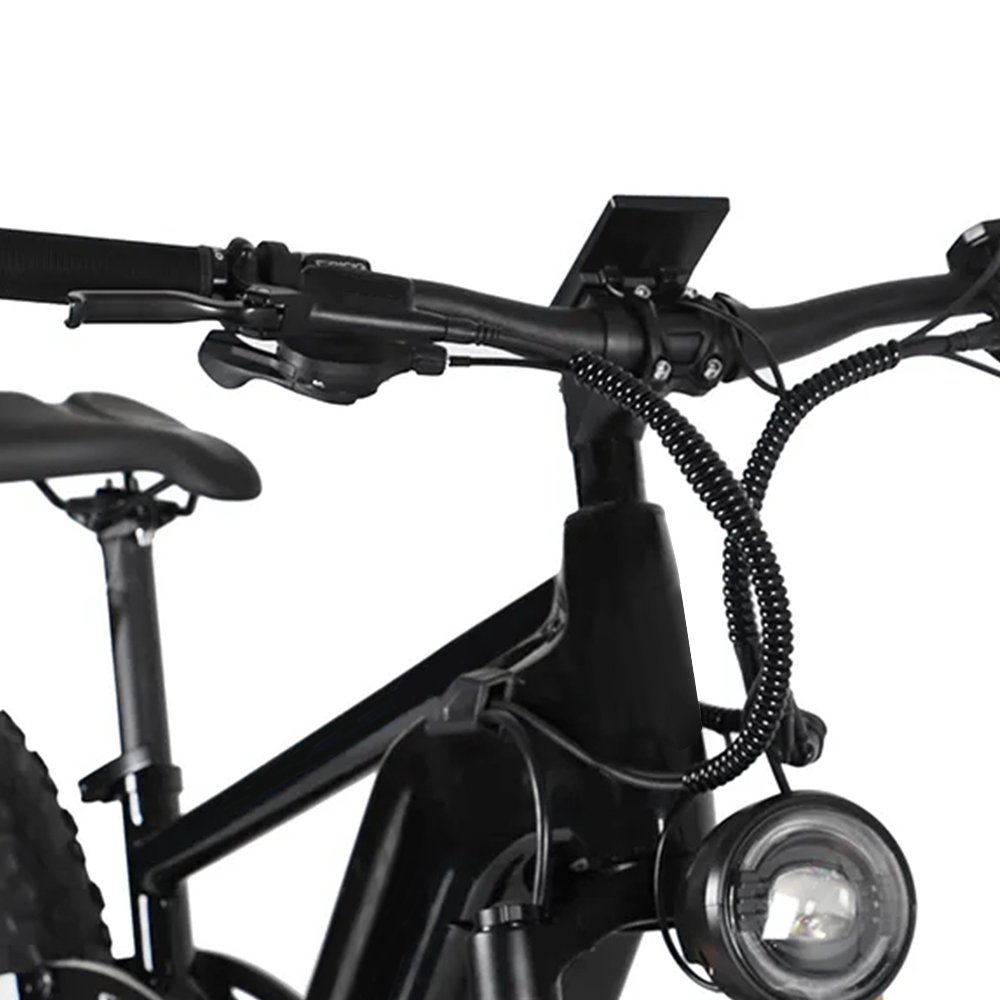 high quality 26 inch Fat Tire Ebike Retro electric mountain bike 29 inch