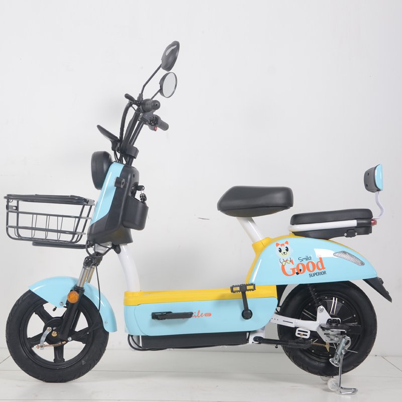The City Electric Bike is a high-quality two-wheel intelligent variable-speed electric bike with a 350W motor.