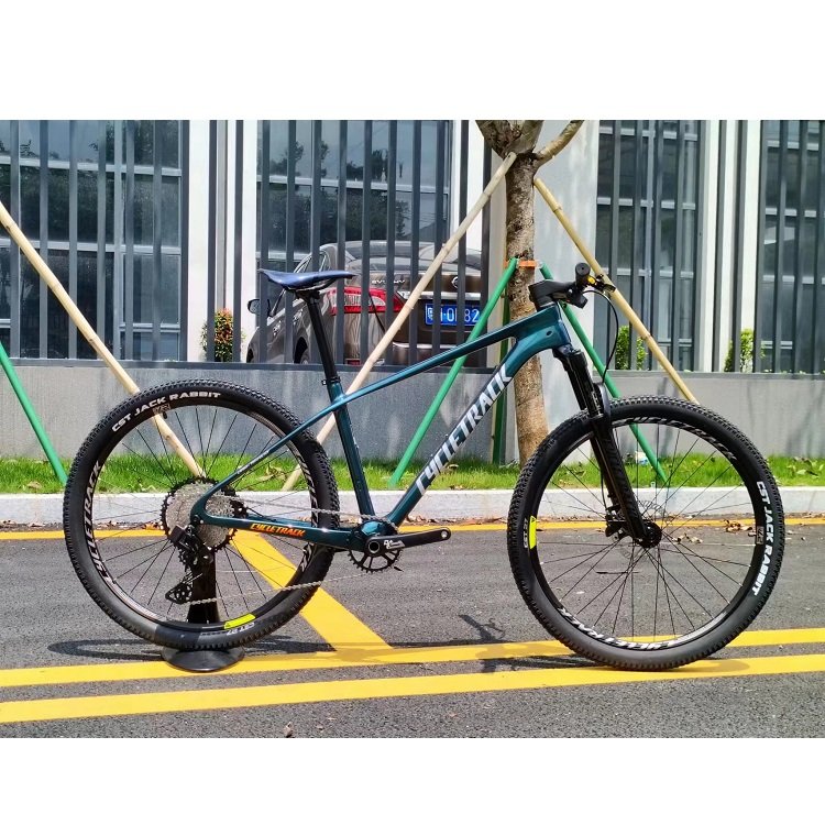 Cycletrack SCALE 12 Speed EDS Carbon Fiber Mountain Bike 29 Inch Mountain Bike with Prowheel Crankset