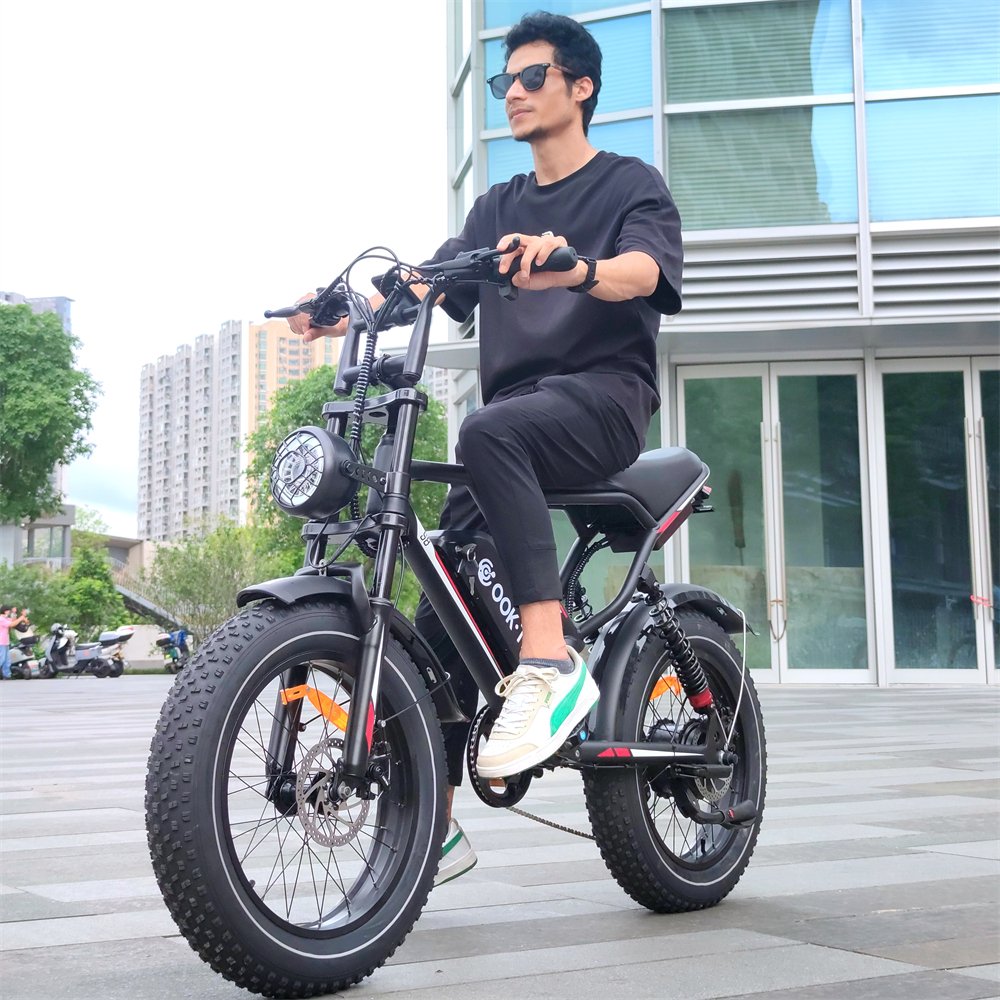 EU US Warehouse Cheap price Mountain Electrically Bike Bicycle Fat Tire Ebike 250W Electric Bikes Adults