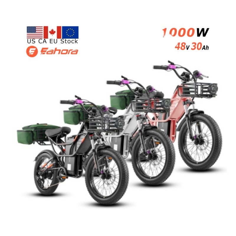 Eahora Cupid FOB China Electric Bike 1000W Electric City Bicycle 48V 30Ah Fat Tire Electric Mountain Bike electric cargo bike