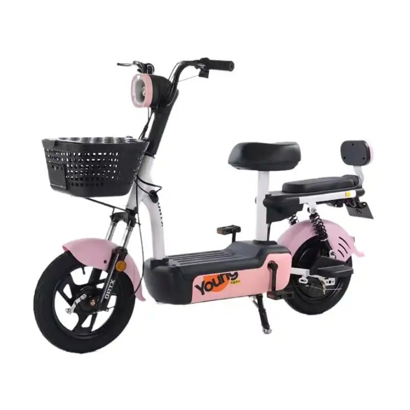 Electric Bike Mini Bicycle 2019 Hot Popular 48V 350W Electric Bikes