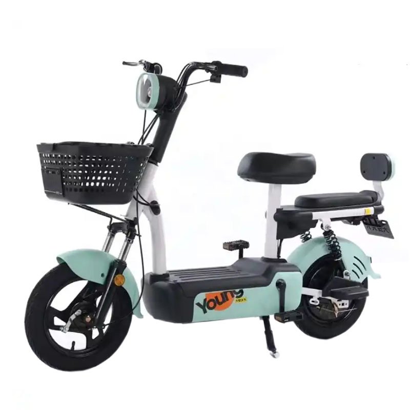 Electric Bike Mini Bicycle 2019 Hot Popular 48V 350W Electric Bikes