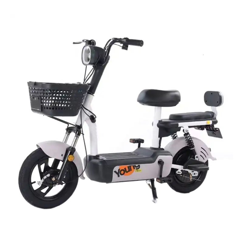 Electric Bike Mini Bicycle 2019 Hot Popular 48V 350W Electric Bikes