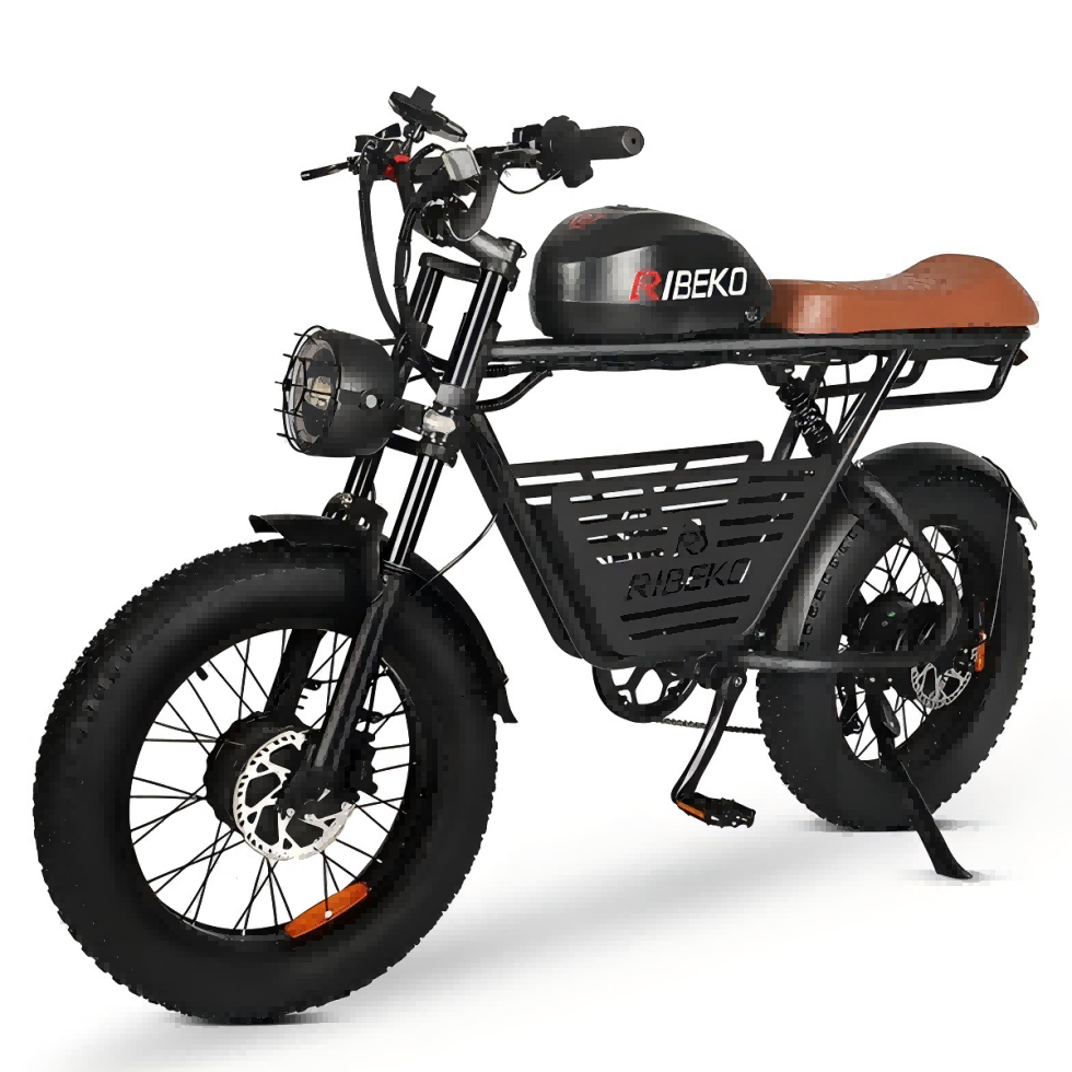 Adult Electric City Bike Dual Motor 20inch Fat Tire 48V 26ah Removable Battery 7 Speed Gear Hydraulic Brake Coupon Suspension