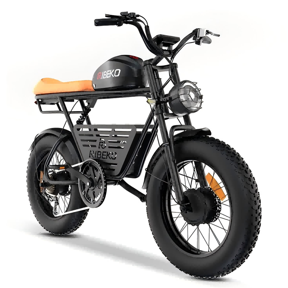 Adult Electric City Bike Dual Motor 20inch Fat Tire 48V 26ah Removable Battery 7 Speed Gear Hydraulic Brake Coupon Suspension
