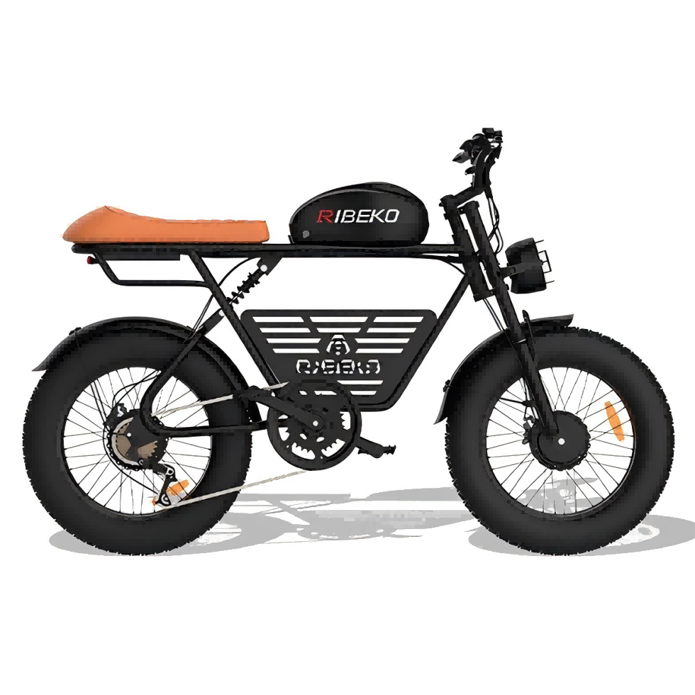 Adult Electric City Bike Dual Motor 20inch Fat Tire 48V 26ah Removable Battery 7 Speed Gear Hydraulic Brake Coupon Suspension