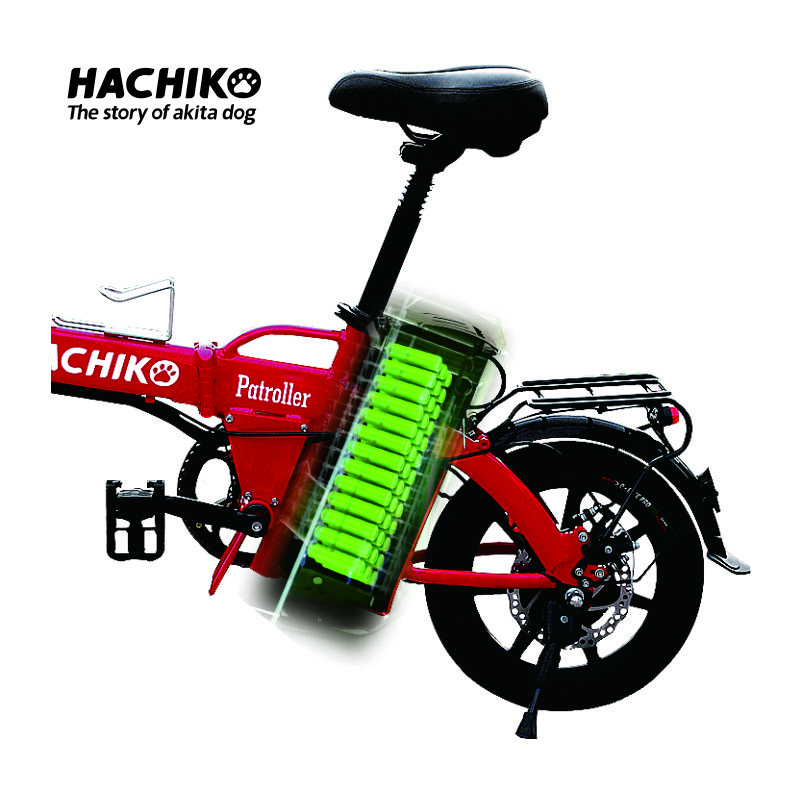 2024 most popular electric city bike aluminum alloy high quality 48V 12Ah long range 300W electric folding bike