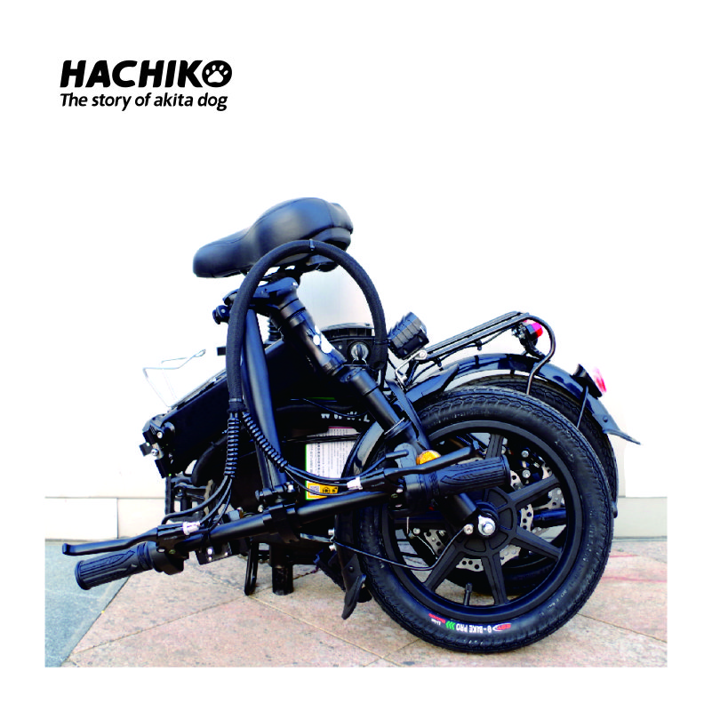 2024 most popular electric city bike aluminum alloy high quality 48V 12Ah long range 300W electric folding bike
