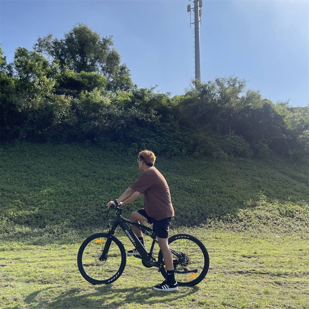 full suspension electric mountain bike A6AH26-S 26'' 27.5'' 29'' tire 36V 250W 350W 48V 500W 750W motor