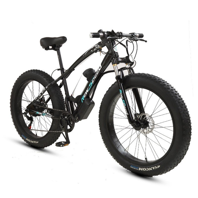 26-Inch 350W Electric 2-Wheel Bicycle with Ordinary Pedal 48V Off-Road Fat Tire for Travel