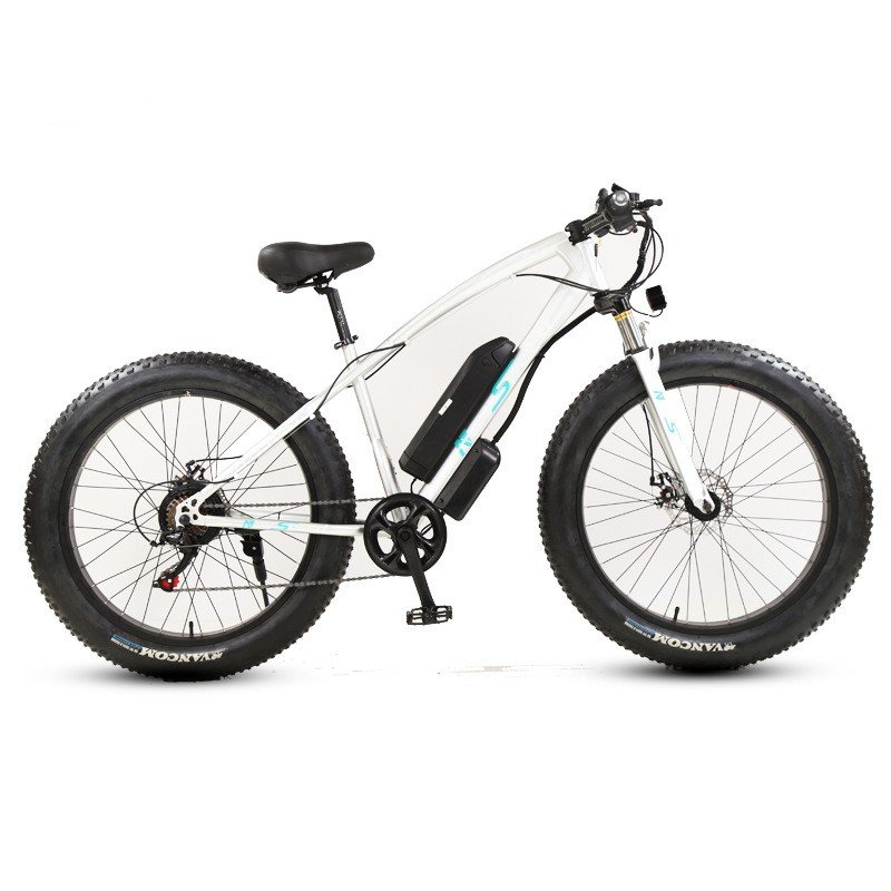 26-Inch 350W Electric 2-Wheel Bicycle with Ordinary Pedal 48V Off-Road Fat Tire for Travel