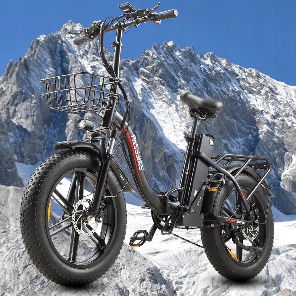 20 Inch Fat Tire Ebike 750W Motor Big Battery Electric Cycle Electric Bicycle Full Suspension 48V Best Mountain E Bike