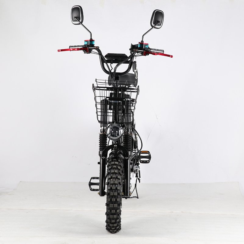 Factory Wholesale electric bike Off road snow tires city electric bike for courier monster V8 winter tyres electric cargo bike