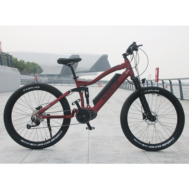 Hot sale Other electric bike long range / suspension electric bike sports mountain e bike