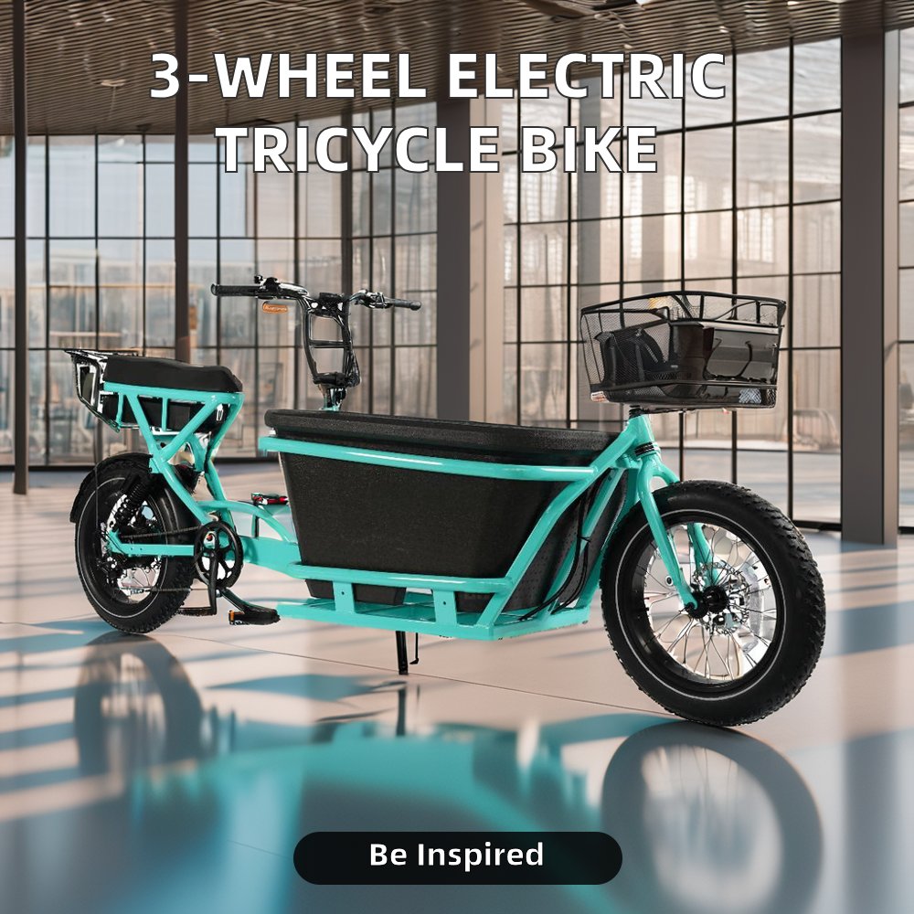36V Electric Tricycle Motorcycle and 2-Wheel Electric Bike with Roof 2-Wheel Electric Vehicle for Sale