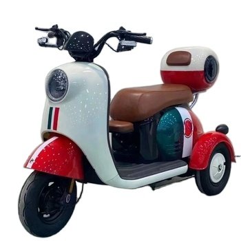 Versatile 3 Wheel Electric Tricycle with 800W Motor, 48V Battery, and Front Disc Brake